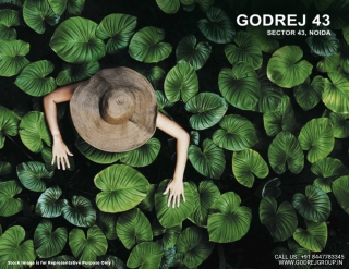 Godrej 43 E Brochure - Life At Godrej Woods Sector 43 Noida