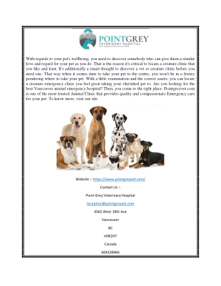 Online Vancouver Animal Emergency | Point Grey Veterinary Hospital Vancouver