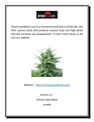 Etobicoke Seed Bank | Ontarioseedbank.com