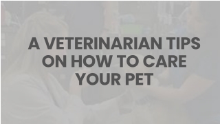 A Veterinarian Tips on How to Care Your Pet