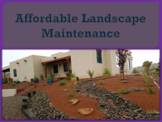Affordable Landscape Maintenance