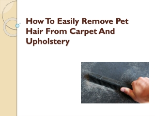 How To Easily Remove Pet Hair From Carpet And Upholstery