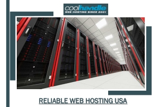 Reliable Web Hosting in USA