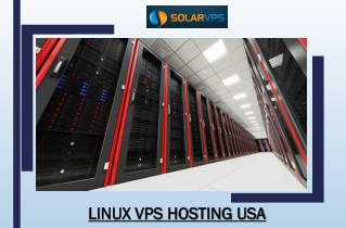 Linux VPS Hosting USA