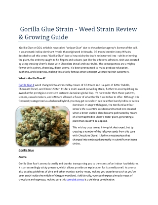 Gorilla Glue Strain - Weed Strain Review & Growing Guide