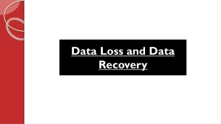 Data Loss and Data Recovery