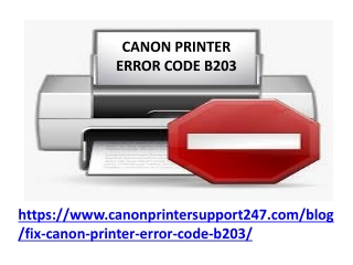 Canon Printer Error Code b203
