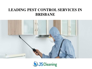 Leading Pest Control Services in Brisbane