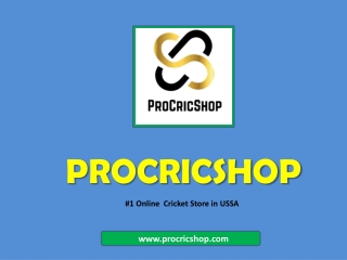 Buy Cheap Cricket Bats Online