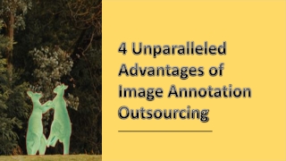 4 Unparalleled Advantages of Image Annotation Outsourcing-Damco Solutions