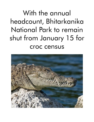 With the annual headcount, Bhitarkanika National Park to remain shut from January 15 for croc census