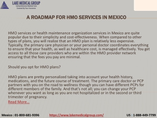 A Roadmap for HMO Services in Mexico