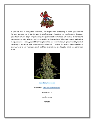 Canadian Weed Seeds | Weedseeds.ca