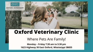 The Best Vet Clinic in Oxford MS