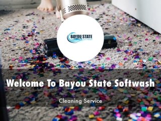 Detail Presentation About Bayou State Softwash