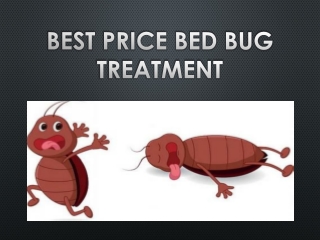 Know the entity of chemical free bed bug treatment