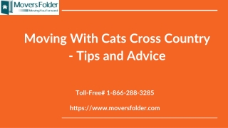 Moving With Cats Cross Country - Tips and Advice