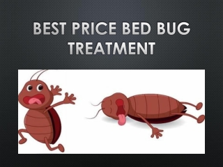 Know the entity of chemical free bed bug treatment