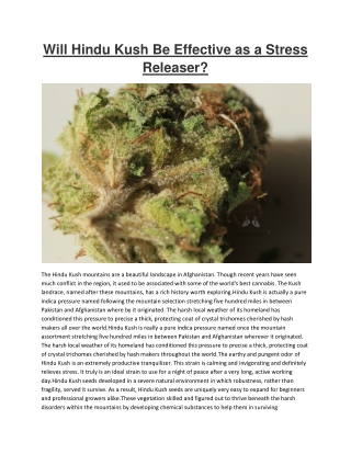Will Hindu Kush Be Effective as a Stress Releaser?
