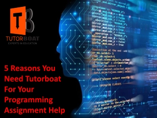 5 Reasons You Need Tutorboat For Your Programming Assignment Help