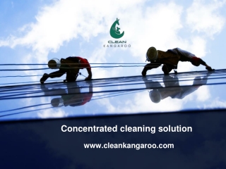 Concentrated cleaning solution-www.cleankangaroo.com