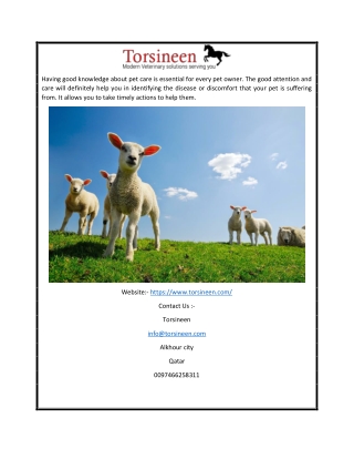 Buy Animal Medicines Online | Torsineen.com