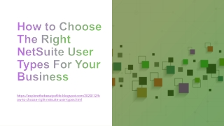 How to Choose The Right NetSuite User Types For Your Business