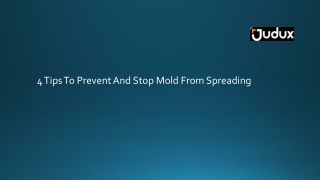 4 Tips To Prevent And Stop Mold From Spreading