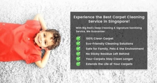 Singapore Carpet Cleaning Services