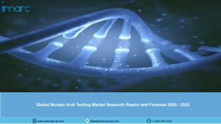 Nucleic Acid Testing Market Research Report and Forecast 2020-2025