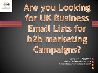 Looking for UK Business Email Lists?