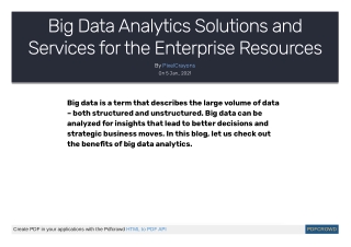 Big Data Analytics Solutions and Services for the Enterprise Resources