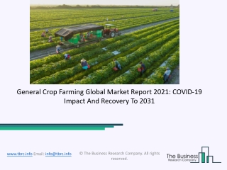 Global General Crop Farming Market Overview And Top Key Players by 2031