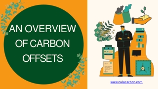 An Overview of Carbon Offsets