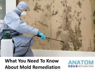 What You Need To Know About Mold Remediation?