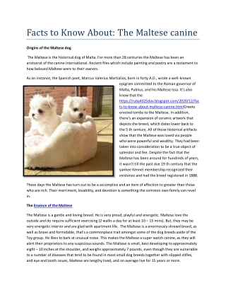 Facts to Know About: The Maltese canine