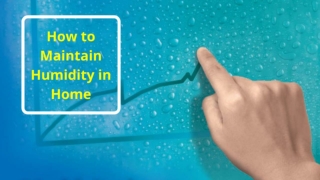 How to Maintain Humidity in Home