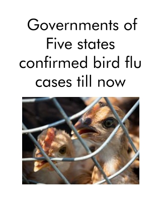 Governments of Five states confirmed bird flu cases till now