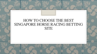 How To Choose The Best Singapore Horse Racing Betting Site