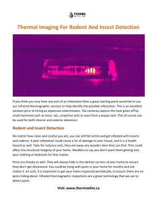 Thermal Imaging For Rodent And Insect Detection