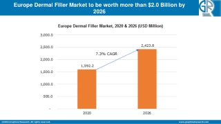 Europe Dermal Filler Market to Eyewitness Massive Growth by 2026: Leading Key Players