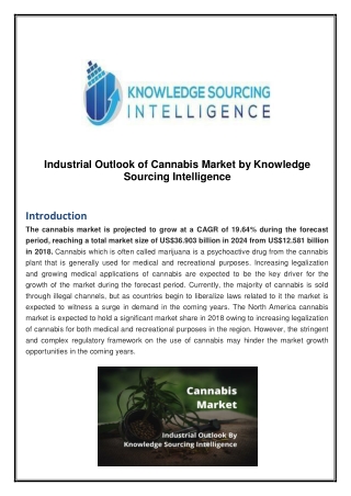 Industrial Outlook of Cannabis Market