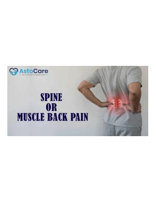 Spine or Muscle Back Pain