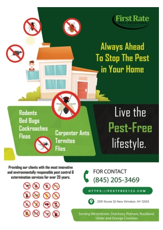 Exterminator New Windsor NY | Orange County Pest Control