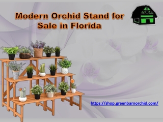 Modern Orchid Stand for Sale in Florida