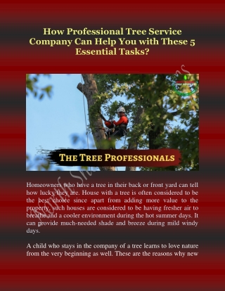 How Professional Tree Service Company Can Help You With These 5 Essential Tasks