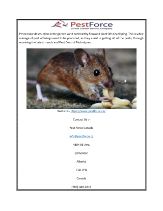 Pest Control Edmonton | Pestforce.ca