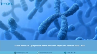 Molecular Cytogenetics Market Research Report, Industry Analysis, Share, Growth and Forecast Till 2025