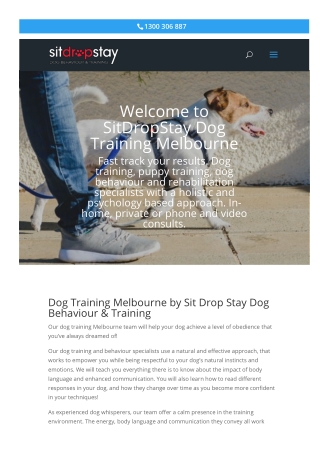 Melbourne Dog Training School