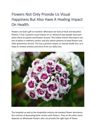 Flowers Not Only Provide Us Visual Happiness But Also Have A Healing Impact On Health.